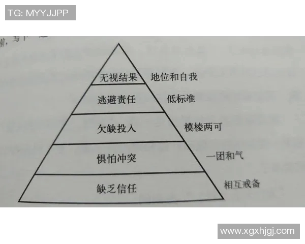 成都篮球队配合表现数据分析探讨团队协作与战术执行的影响因素