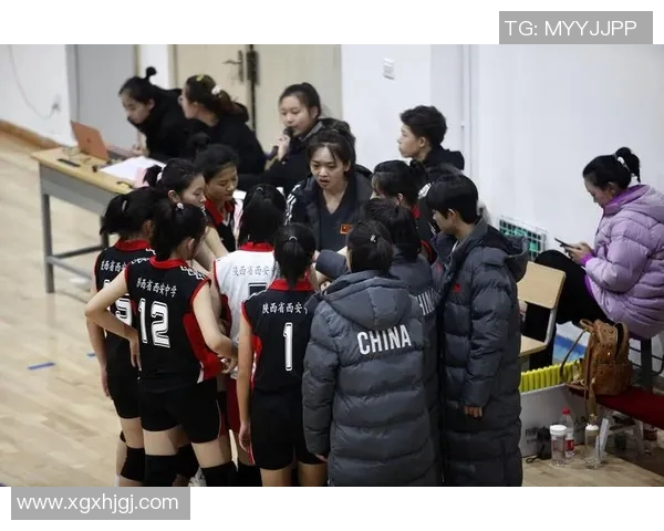 西安排球队灵活性引发热议球迷与专家观点碰撞分析