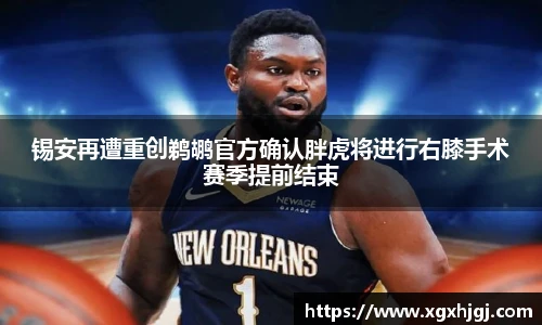 球速体育官方网站