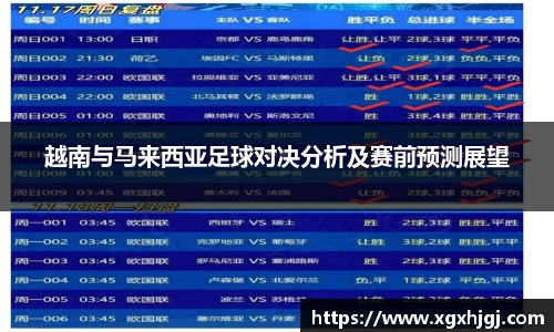 越南与马来西亚足球对决分析及赛前预测展望