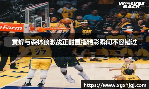 球速体育官网