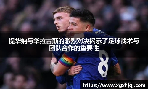 球速体育官网